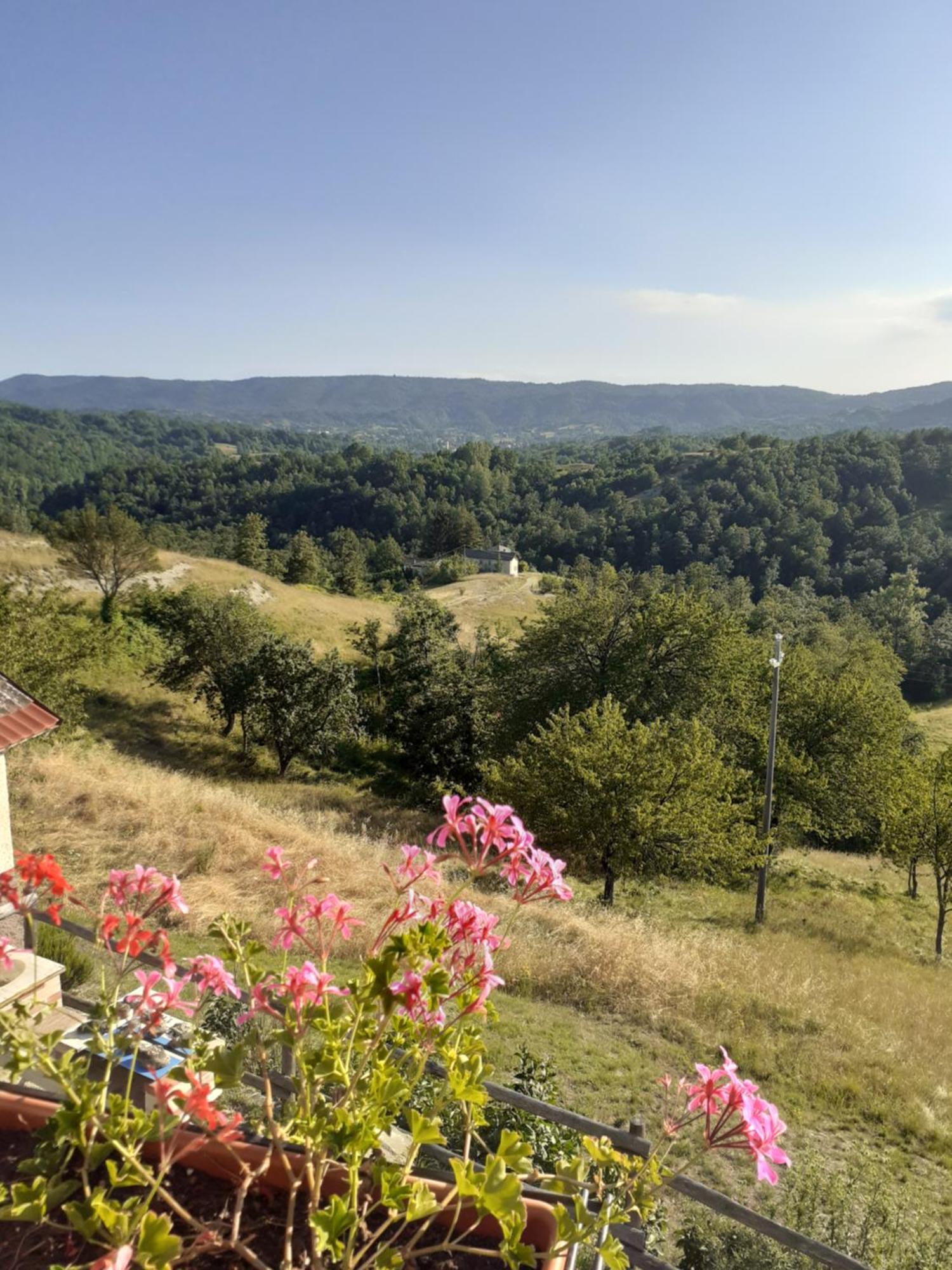 Cascina Merlo Country House Pareto Eksteriør bilde